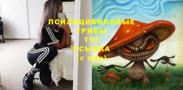 стаф Одинцово