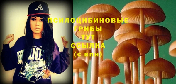 стаф Одинцово
